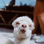 Processed with VSCO with au1 preset