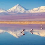 cordillera-sal-atacama-768x447