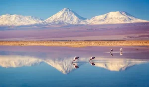 cordillera-sal-atacama-768x447